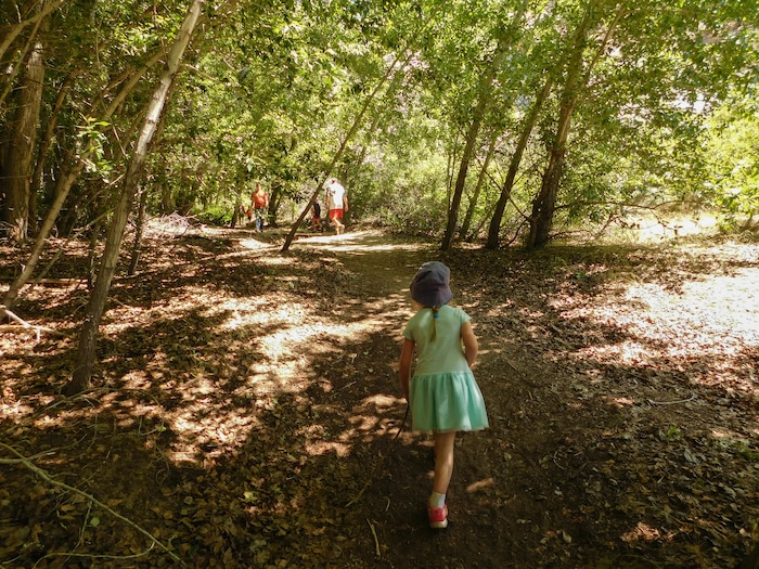 Erin Alberty  |  The Salt Lake TribuneHikers walk among the cottonwood trees on the trail to Box Canyon on May 29, 2017 in Dinosaur National Monument.