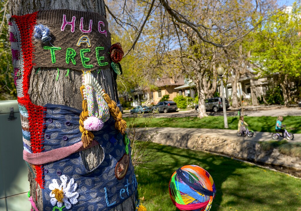 (Leah Hogsten | The Salt Lake Tribune) "I wanted to have a voice specifically for the trees," said Katie Pugh, who yarn bombed the trees in City Creek Park across from her home for the week to celebrate Earth Day and Arbor Day. "It's awesome that the park exists and its been unaltered for so long." Salt Lake City's Department of Public Utilities has proposed a series of upgrades for its Memory Grove, but neighborhood residents say a new pump house the city wants to build is too big, unsightly and threatens to take out several mature trees and ruin the aesthetics of the park.