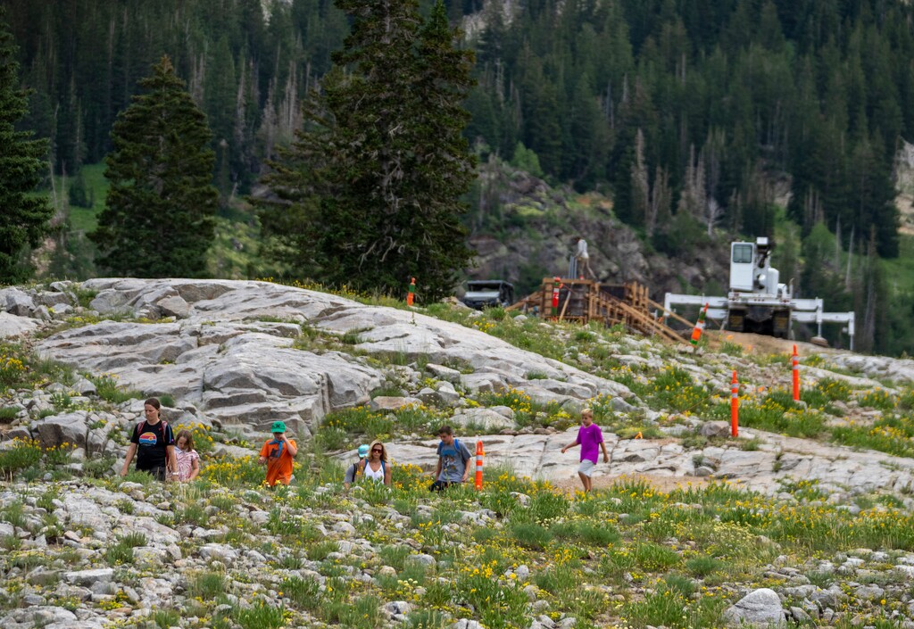 (Rick Egan | The Salt Lake Tribune)  Hikers walk along a detour of the Catherine Pass Trail, as construction crews work on the Supreme chair lift at Alta Ski resort, Wednesday, July 27, 2022.