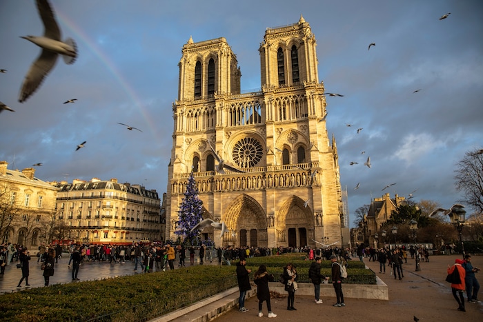 FILE: Seagulls fly around the Notre-Dame Cathedral in Paris, France, December 09 2018. The world famous landmark caught fire on April 15, 2019, initial media reports claim that maintenance work held in the rooftop of the structure led to the fire.(Sipa via AP Images)