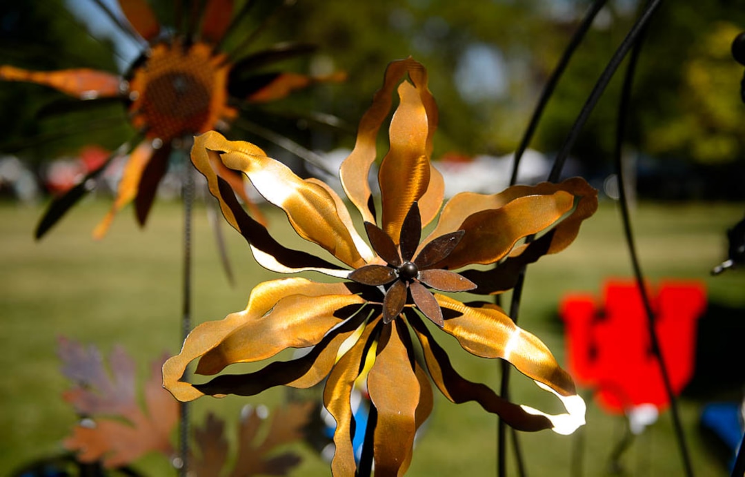 (Trent Nelson | The Salt Lake Tribune)Artwork by Steve Johnson at the opening day of the 2018 Downtown Farmers Market at Pioneer Park in Salt Lake City, Saturday June 9, 2018.