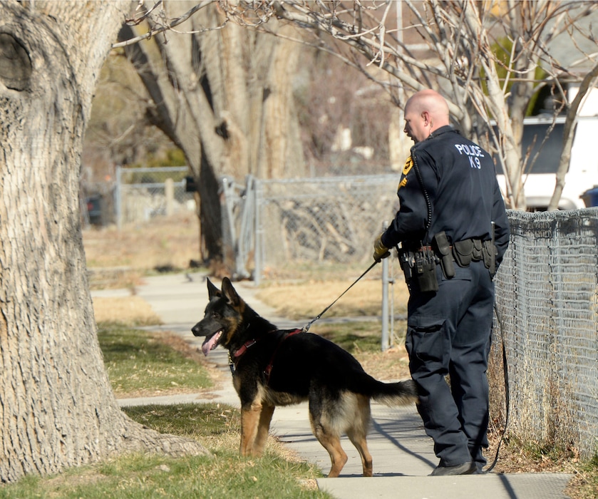 Al Hartmann  |  The Salt Lake TribuneSalt Lake City police K9 team search neighborhood near 1400 W.  and 950 S. Tuesday Feb. 24.  A man believed to be involved in an aggravated assault and attempted kidnapping abandoned his car in the area.  Three nearby schools were put on precautionary lock down while the neighborhood was being searched for the suspect. 