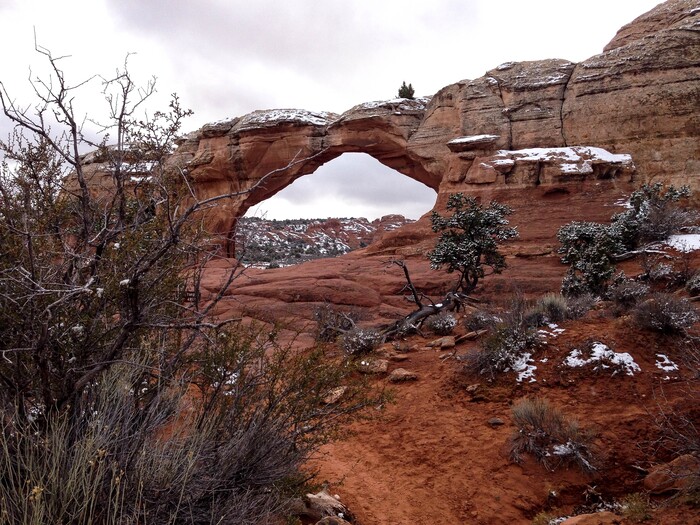(Erin Alberty  |  The Salt Lake Tribune) 

Shrubs catch new snow around Broken Arch on Nov. 29, 2015 at Arches National Park.