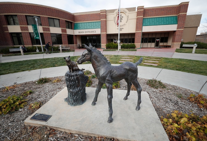 (David Zalubowski | The Associated Press) In this Monday, Nov. 6, 2017, photo, a sculpture stands outside the front door of the veterinary school at Colorado State University in Fort Collins, Colo. Two researchers at the school are leading efforts to determine the efficacy of using CBD oil in the treatment of dogs with epilepsy and arthritis.