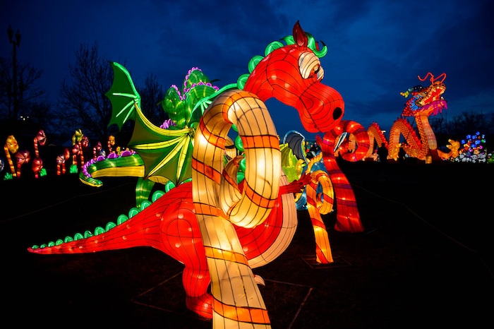 (Trent Nelson | The Salt Lake Tribune)  Dragon Lights SLC, part of the China Lights touring festival, opens on March 23 and continues through May 6 at the Utah State Fairpark.