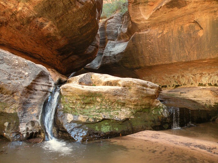 Erin Alberty | The Salt Lake Tribune
To beat the crowds at Zion National Park, consider The Subway, where permits restrict entry and keep traffic reasonable — though occasionally you may encounter large groups. Be prepared for technical climbing if you hike it top-down. You will need a permit to hike from either direction, and those are hard to come by; for details, visit nps.gov/zion/