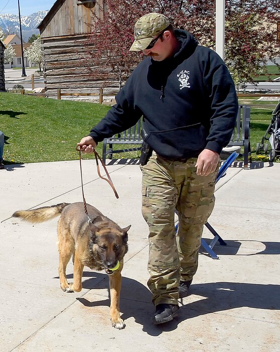 Jason Whittier walks K-9 dog Endy back to the vehicle after showing him to kids at in Hyrum, Utah in this May 2017 photo. A Utah sheriff's deputy was charged with aggravated animal cruelty after his police dog died in a hot patrol truck. The dog named Endy died after Whittier "inexplicably" left him secured in the truck after their shift ended at about noon on July 3, Cache County prosecutors said in court documents. (Eli Lucero/The Herald Journal via AP)