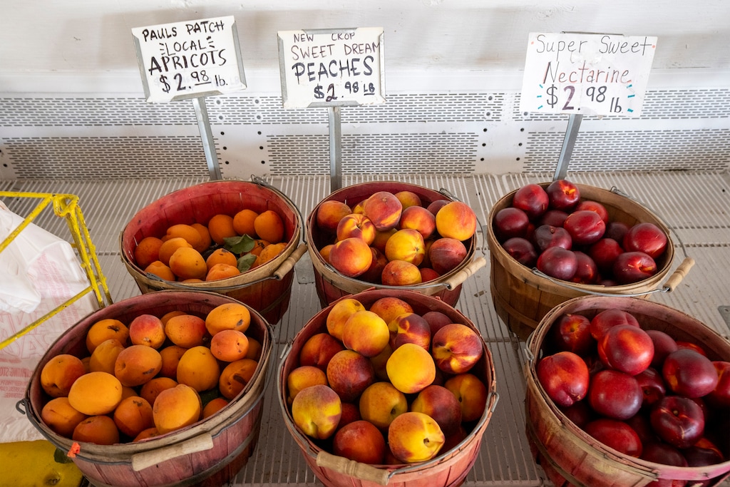 (Rick Egan | The Salt Lake Tribune) Peaches and nectarines for sale at Paul's Patch on U.S. 89, in Perry on Thursday, July 3, 2025. U.S. 89 between Brigham City and Willard is known as "Utah's Famous Fruit Way," and a popular destination for day-trippers looking for farm-fresh produce.