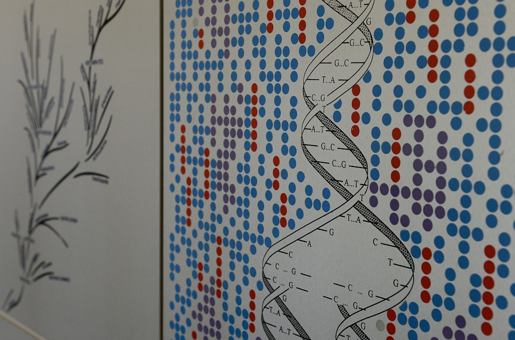 (Francisco Kjolseth | The Salt Lake Tribune) The work of artist and architect Anna Campbell Bliss, who mixed art and science in her work, can be seen at the Cowles Mathematics Building on the University of Utah campus with her piece entitled, "Extended Vision."