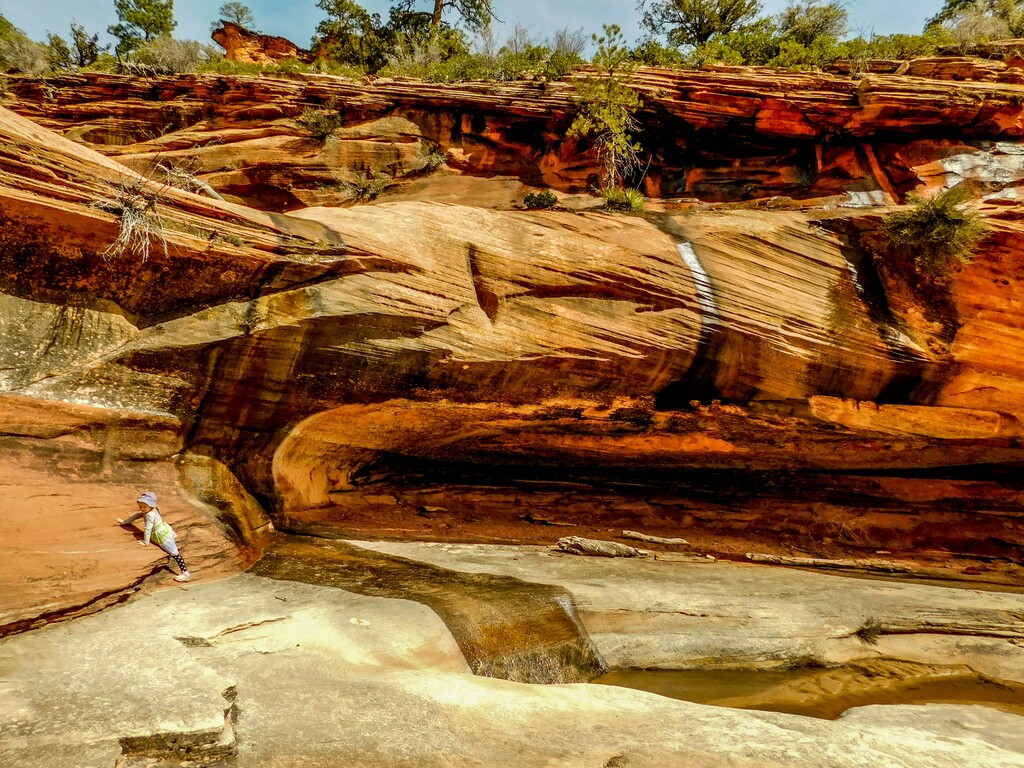 (Erin Alberty | The Salt Lake Tribune) Many Pools is a beautiful, family-friendly hike with little traffic and great educational value in Zion National Park. Photo taken March 10, 2017.