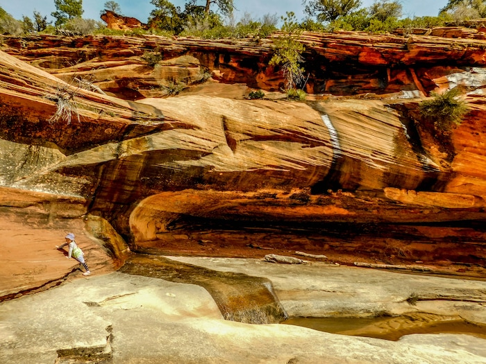 Erin Alberty|The Salt Lake Tribune Many Pools is a beautiful, family-friendly hike with little traffic and great educational value in Zion National Park. Photo taken March 10, 2017.