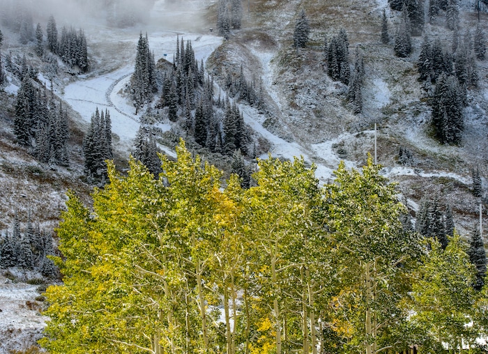 (Steve Griffin | The Salt Lake Tribune) A fall storm leaves a trace of snow in Little Cottonwood Canyon in Salt Lake City Friday September 22, 2017.