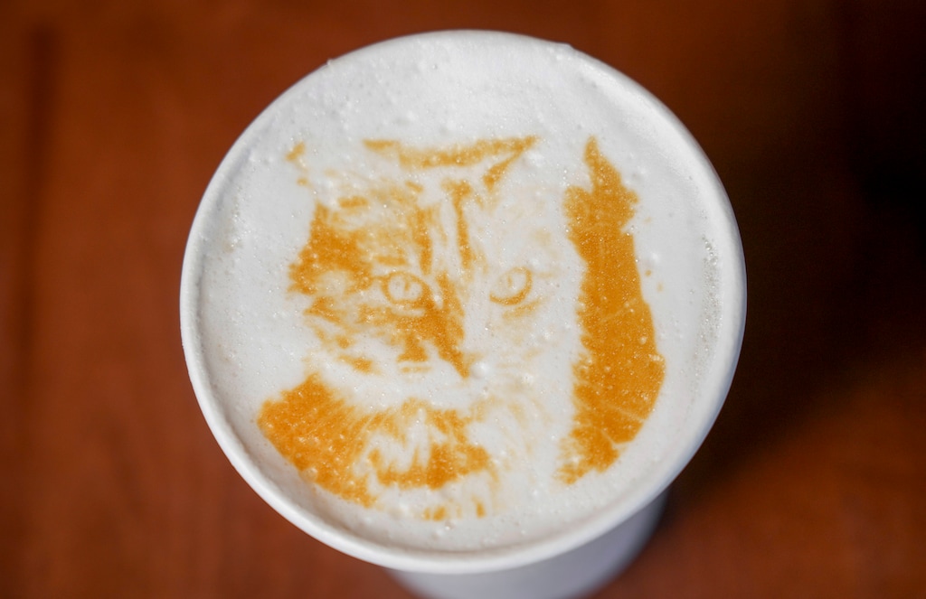 (Bethany Baker | The Salt Lake Tribune) An image of a cat is seen in the foam on a latte at Bix Cafe in Salt Lake City on Tuesday, Aug. 19, 2025.