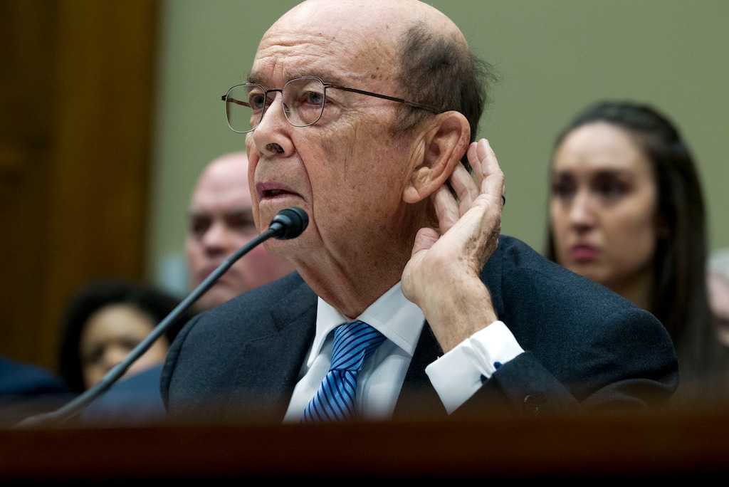 Commerce Secretary Wilbur Ross testifies during the House Oversight Committee hearing on Capitol Hill in Washington, Thursday, March 14, 2019. (AP Photo/Jose Luis Magana)