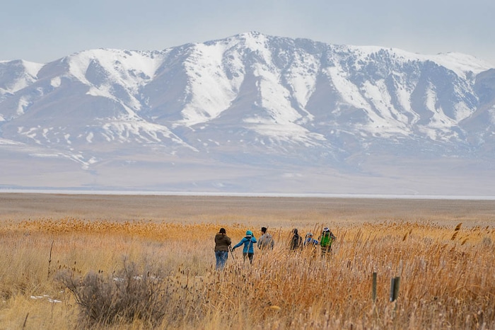 (Trent Nelson | The Salt Lake Tribune)  Birdwatchers stand watch as Great Salt Lake Audubon hosts the 9th Annual Gullstravaganza, gull-watching event at Farmington Bay on Saturday Feb. 2, 2019.