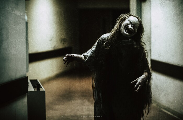 (Courtesy photo) The 12th edition of An October Evening celebrates ghosts through film, fashion, music and dance, all in an expanded two evenings Oct. 20-21 at the Masonic Temple in Salt Lake City.