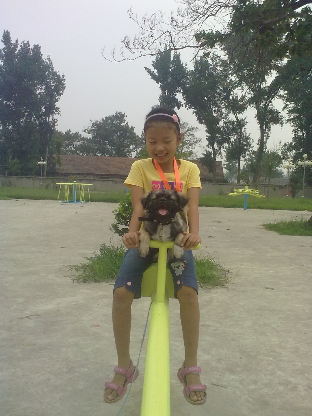(Dong family) Pictured is Zhifan Dong as a kid playing with her dog on a seesaw. She grew up in China.