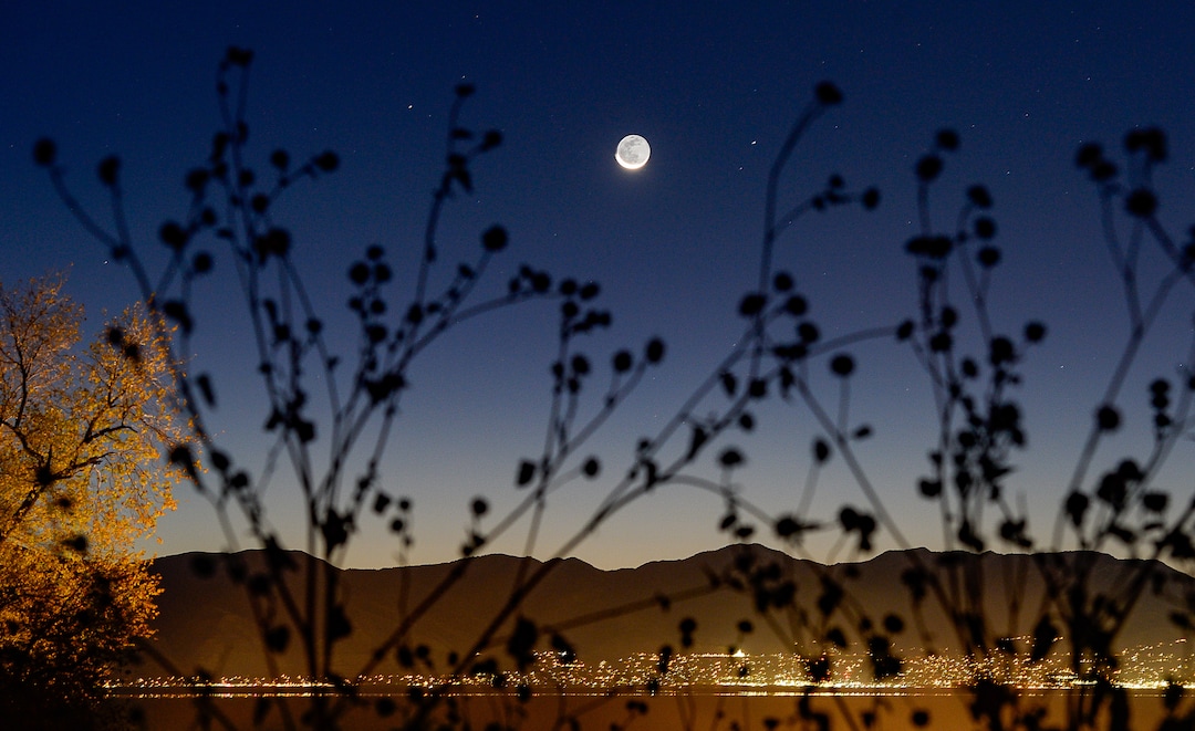 (Francisco Kjolseth  |  The Salt Lake Tribune)  A crescent moon rises at first light as riders begin to ready their horses herd bison for the 33rd annual roundup, Saturday, Oct. 26, 2019, on Antelope Island, a state park located near Syracuse in Davis County. Every year Utah wildlife and parks officials move the animals from across the island so they can be weighed, tagged and given health screenings.