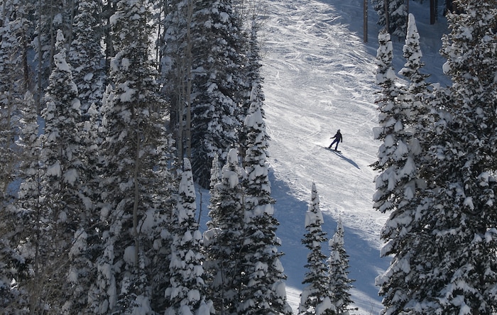 (Francisco Kjolseth  |  The Salt Lake Tribune)  People enjoy a blue bird day at Solitude Mountain Resort following a series of storms that have piled on the inches of snow in the high country on Thursday, Feb. 7, 2019.