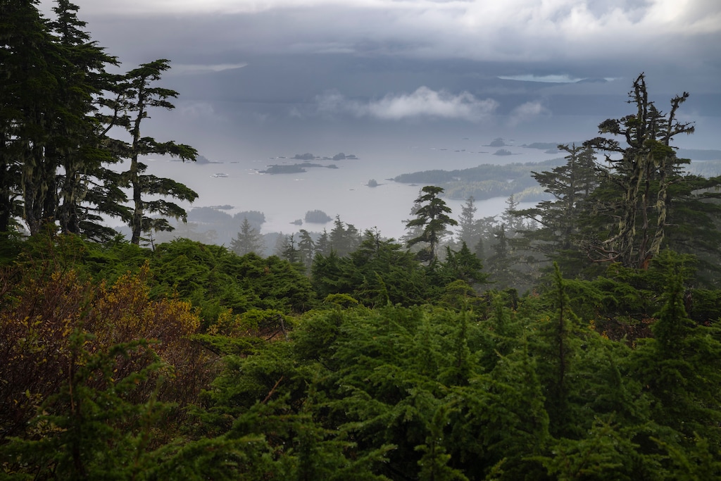 (Christopher Miller | The New York Times) A view of the distant islands of Sitka Sound from Harbor Mountain in the Tongass National Forest, in Sitka, Alaska, Oct. 10, 2024.