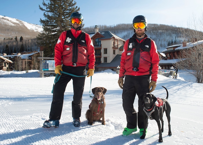 (Rick Egan  |  The Salt Lake Tribune)       Solitude Avalanche dog Joni with her handler, Jasper Anderson and Lumen with his handler, Trevor John, Thursday, March 5, 2020.