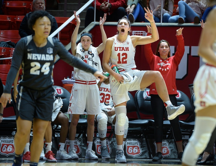 (Scott Sommerdorf   |  The Salt Lake Tribune)   
Utah's Emily Potter celebrates a made three-point shot by Tori Williams during second half play. The Utah women beat Nevada 87-61, Friday, November 10, 2017. 
