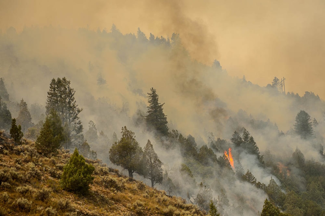 (Trent Nelson | The Salt Lake Tribune) The Coal Hollow Fire burns along Highway 6 in Utah County, Friday Aug. 10, 2018.