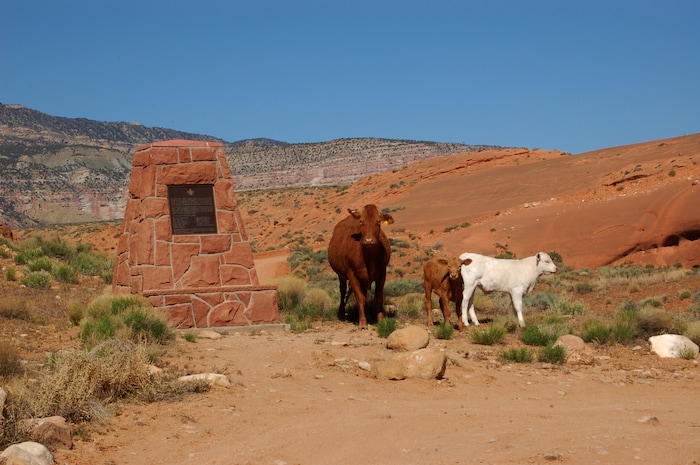 (photo courtesy Manny Mellor) Carcass Wash near Hole in the Rock.