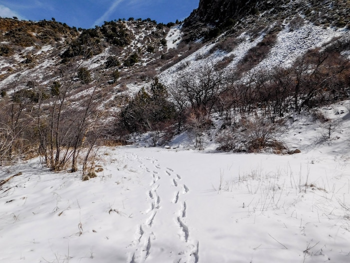 Erin Alberty | The Salt Lake Tribune
A scene from the canyons near Monrovian Park in Sevier County on March 8, 2017.