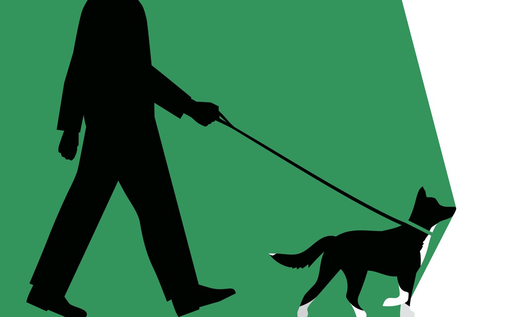 Caring for dogs yank us outside of our narrowest selves, forces us to engage. In a perfect world, we’d do that on our own, Frank Bruni writes. (Ben Wiseman/The New York Times)