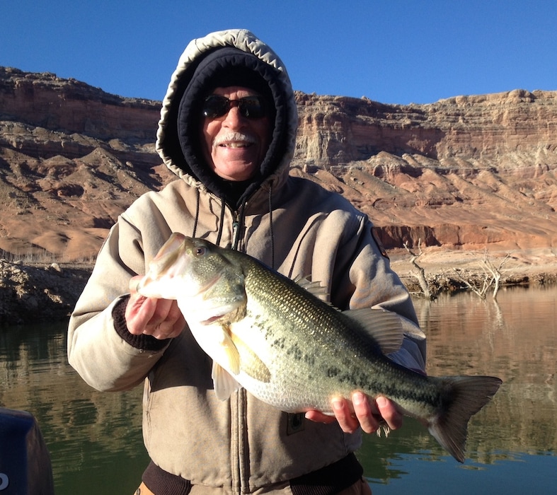Michael Hadley | Division of Wildlife Resources
Wayne Gustaveson, a Utah Division of Wildlife Resources fish biologist, displays a largemouth bass he caught at Lake Powell. Since 2012, the lake’s striped bass have been under a consumption advisory due to the presence of mercury found in fish south of Dangling Rope Marina. A new study by the U.S. Geological Survey has found the highest concentrations of the toxic metal are in the side canyons feeding into reservoir.