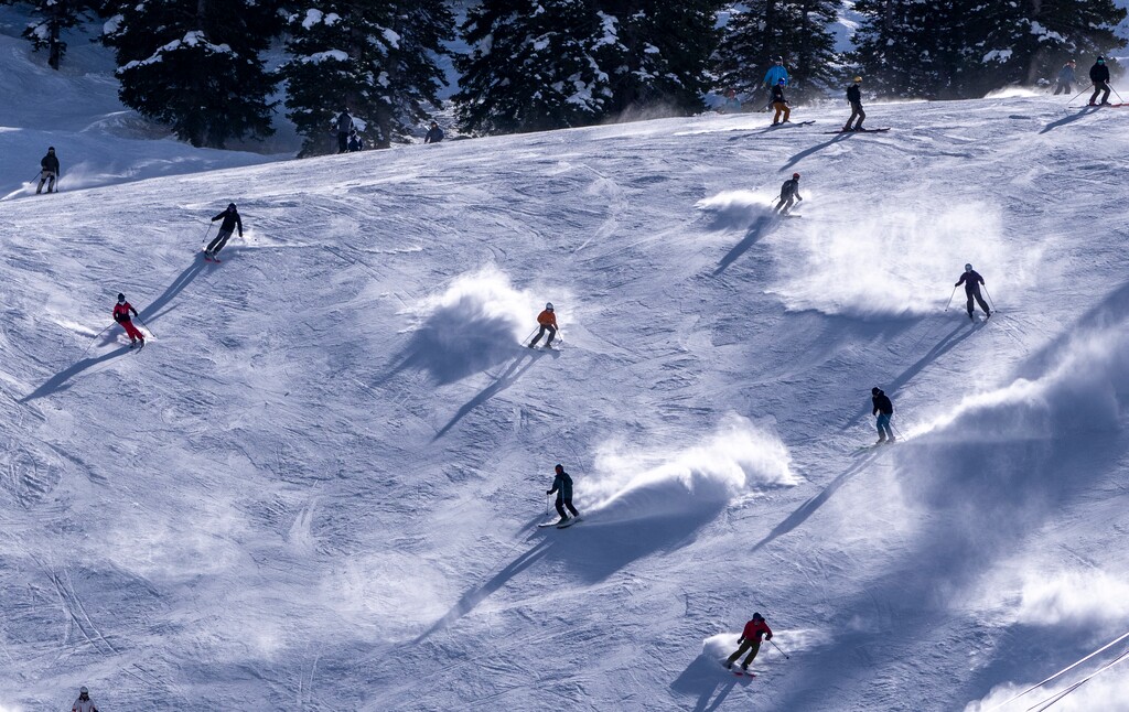 (Rick Egan | The Salt Lake Tribune)  Skiing at Alta, on Saturday, February 4, 2023.