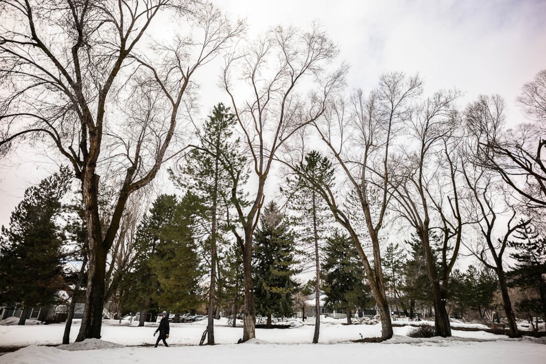 (Trent Nelson | The Salt Lake Tribune)  Homestead Resort in Midway on Thursday March 7, 2019.