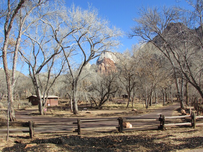 (Tom Wharton | The Salt Lake Tribune) Most national parks have closed their campgrounds. Zion National Park was no exception.