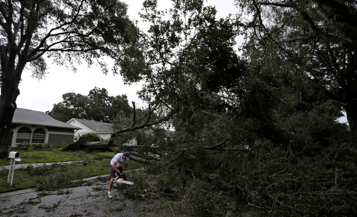 Brian Baker, of Valrico, Fla., cuts an Oak tree that fell across Falling Leaves Drive after Hurricane Irma passed through the area, Monday, Sept. 11, 2017, in Valrico, Fla. (AP Photo/Chris O'Meara)