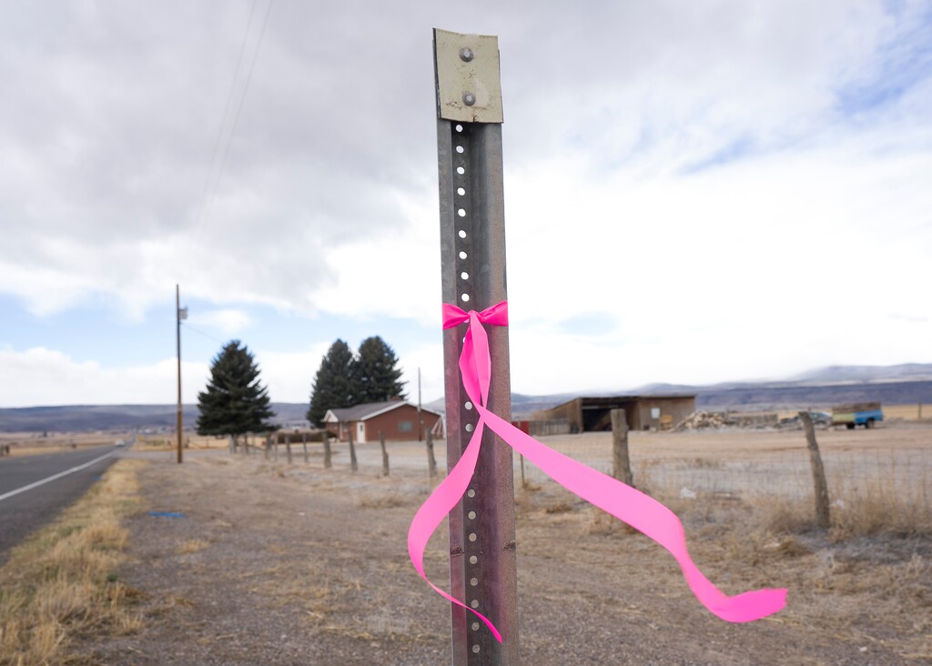 (Bethany Baker | The Salt Lake Tribune) A pink ribbon is tied to a pole near Margaret Oldroyd's home in Lyman, seen in the background, on March 6, 2026, two days after she was shot and killed inside her home on March 4.