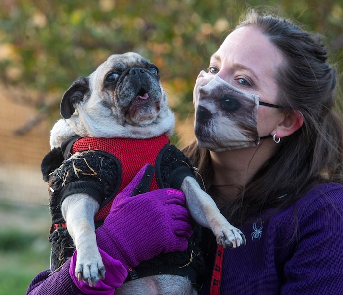 (Rick Egan  |  The Salt Lake Tribune)      Moto howls along with Carrie Bohnsack, during the "Dog Days in the Maze", at Wheeler Farm, Monday, Oct. 26, 2020.