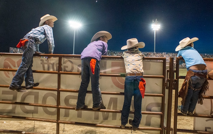 (Rick Egan  |  The Salt Lake Tribune)     Little cowboys watch the bull riding  competition, at the West Jordan Western Stampede Rodeo, Saturday, July 6, 2019.