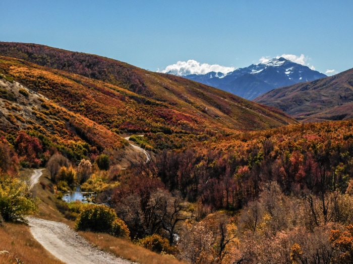 (Erin Alberty|The Salt Lake Tribune) Autumn foliage lights up the slopes rising out of Cascade Springs on Oct. 9, 2017 in Wasatch County.