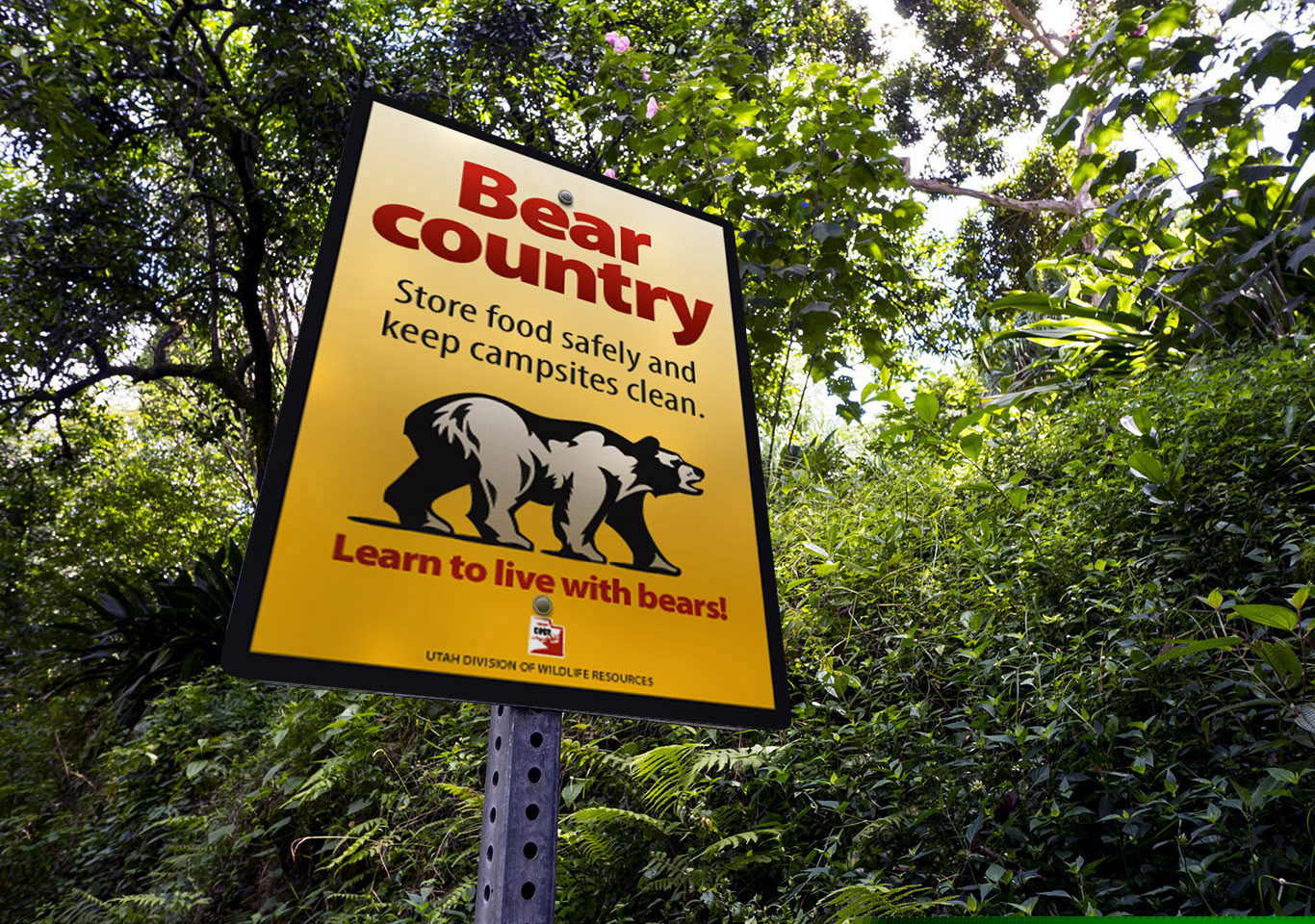 (Utah Division of Wildlife Resources, via AP)

This 2017 photograph provided by the Utah Division of Wildlife Resources shows a bear sign.