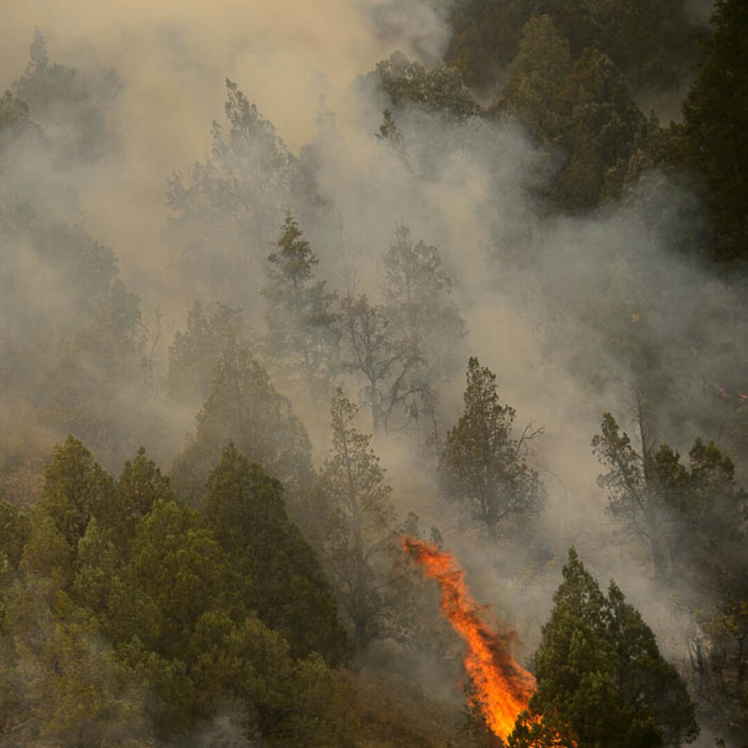 (Trent Nelson | The Salt Lake Tribune) The Coal Hollow Fire burns along Highway 6 in Utah County, Friday Aug. 10, 2018.