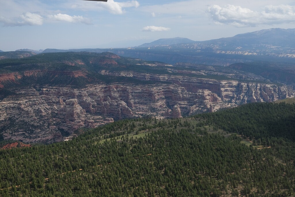 Francisco Kjolseth | The Salt Lake Tribune
Parts of Hammond Canyon within Bears Ears National Monument reveal the vast landscape of the 1.35 million acres in southeastern Utah protected by President Barack Obama on Dec. 28, 2016. Utah Republicans in Congress are advocating for Trump to jettison Utah's national monument designation.