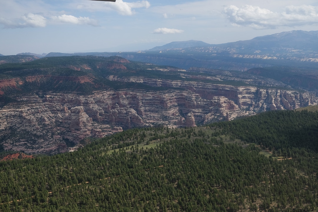 Francisco Kjolseth | The Salt Lake TribuneParts of Hammond Canyon within Bears Ears National Monument reveal the vast landscape of the 1.35 million acres in southeastern Utah protected by President Barack Obama on Dec. 28, 2016. Utah Republicans in Congress are advocating for Trump to jettison UtahÕs national monument designation. 