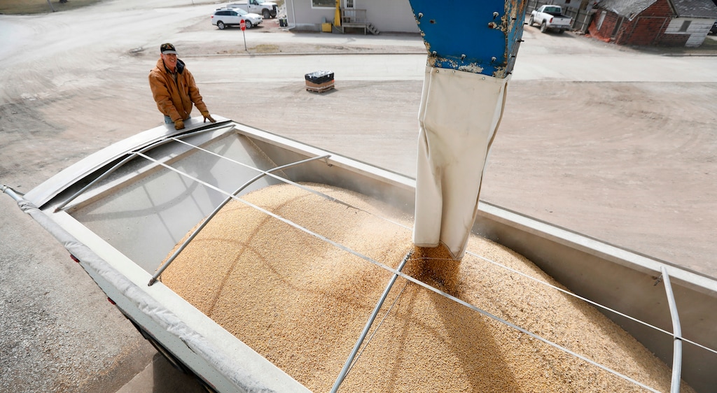 FILE - In this Thursday, April 5, 2018 file photo, Terry Morrison of Earlham, Iowa, watches as soybeans are loaded into his trailer at the Heartland Co-op,, in Redfield, Iowa. Farmers’ spirits may lift if U.S. negotiators can broker a favorable deal with China soon. For now though, they’re having to cope with soybean prices of about $9 a bushel, almost half of what they were getting in the heyday of 2012. (AP Photo/Charlie Neibergall, File)