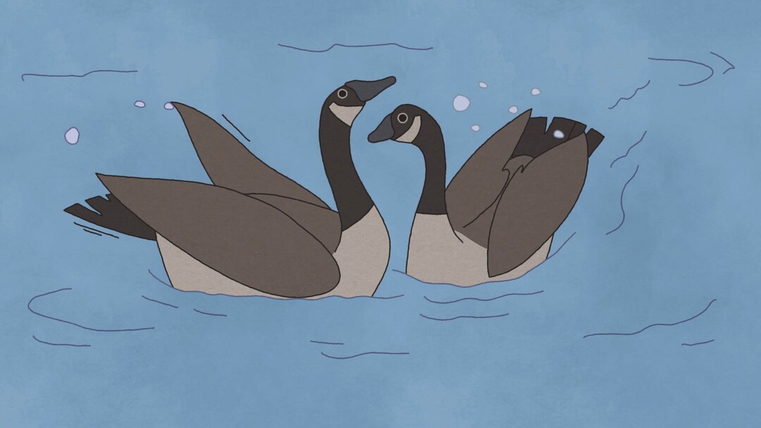 (Image courtesy of Sundance Institute) An image from "Hudson Geese," directed by Bernardo Britto, an official selection of the Shorts Programs at the 2020 Sundance Film Festival.