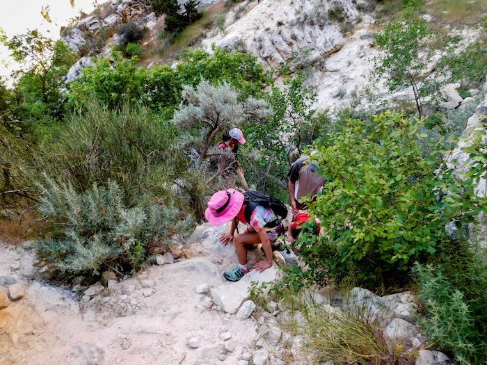 Erin Alberty  |  The Salt Lake TribuneA family climbs up the walls of Box Canyon  on May 29, 2017 in Dinosaur National Monument.