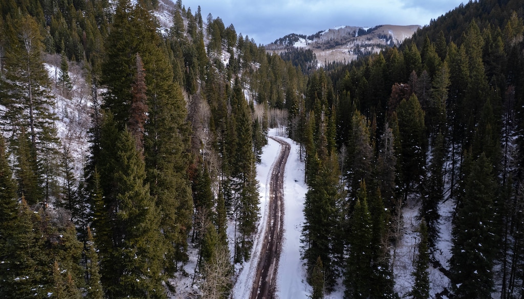 (Francisco Kjolseth | The Salt Lake Tribune) Mill Creek Canyon is pictured near Lower Big Water on Wednesday, Dec. 10, 2025. The popular canyon just completed the first phase of a $38 million renovation. Nonmotorized access will be allowed from December 15 to March 15, when construction is paused. Then, it will close again until December 2026, when construction is expected to be complete.