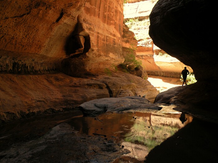Erin Alberty | The Salt Lake Tribune
To beat the crowds at Zion National Park, consider The Subway, where permits restrict entry and keep traffic reasonable — though occasionally you may encounter large groups. Be prepared for technical climbing if you hike it top-down. You will need a permit to hike from either direction, and those are hard to come by; for details, visit nps.gov/zion/