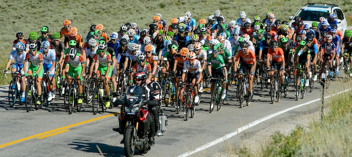 Steve Griffin  |  The Salt Lake TribuneThe peloton climbs up Logan Canyon during Stage 1 of the Tour of Utah bicycle race from Logan around Bear Lake and back to Logan Monday July 31, 2017.