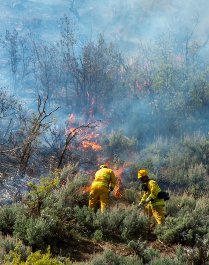 (Rick Egan  |  The Salt Lake Tribune)   Firefighters battle a fire near the Dutch Canyon Road in Midway, Tuesday May 12, 2020